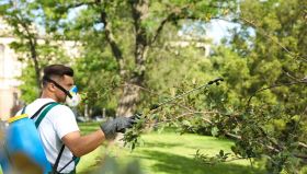 Twin Cities Tree Experts