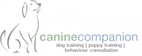 Canine Companion