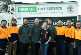 Brisbane Tree Experts