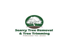 Searcy Tree Service