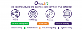 Omni212 - Technology Company 