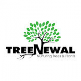 TreeNewal, Certified Arborist 