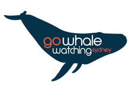Go Whale Watching