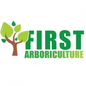 First Arb Tree Surgeons