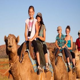 arabian desert safari offer
