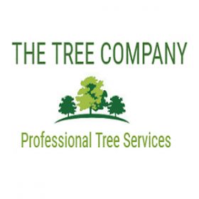 The Tree Company | Professional Tree Services North Shore Auckland