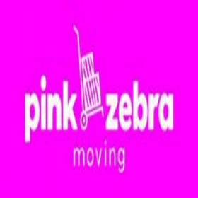  Pink  Zebra  Moving