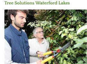 Tree Solutions Waterford Lakes