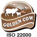 Goldencow 