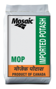 Mosaic MOP