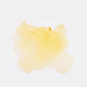 Buy Alter Ego Extracts – Antman Shatter Online | C