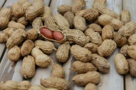 Peanuts For Sale