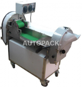 FRUITS AND VEGETABLES PROCESSING MACHINES