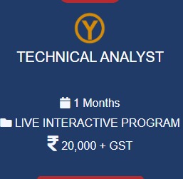 TECHNICAL ANALYST