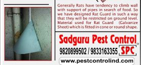 Rat Guard Service in Mumbai 