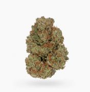 Blueberry Lambs Breath | Hush Cannabis Club