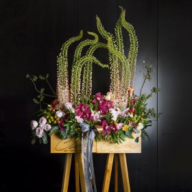 Flora stand | celebration / bfsc | city lights