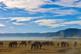 Tanzania Safari 11days