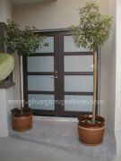 Glass Entry Doors