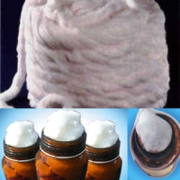 Pharmaceutical coils