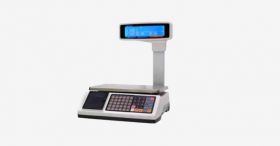 Receipt printing scale