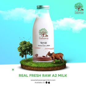 Raw A2 Milk