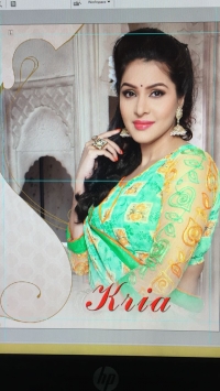 Kria Catalogue Wholesale Sarees