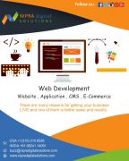Web development services in the USA