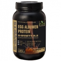 Egg Albumen Protein Powder