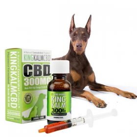 300mg Dog CBD Oil for Doberman Pinschers