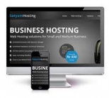 Business Website Hosting