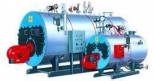 Gas Fired Boiler