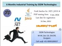 Best 6 months Industrial Training 