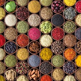 Spices, Dry Fruits, Pulses, Oil seeds, Grains