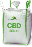 CBD Seeds