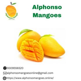 Buy Alphonso Mango Online - Farms since 1890