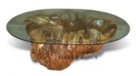 Teak Root Coffee Table