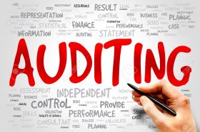 Internal and management audits