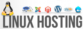 Cheap Web Hosting Company in Chennai