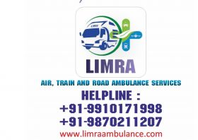 Ambulance Services in Delhi | Limra Ambulance %