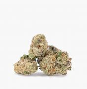 Blue Magoo Smalls (AA) | Hush Cannabis Club