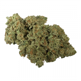 [Premium] Magnificent Mile - Indica