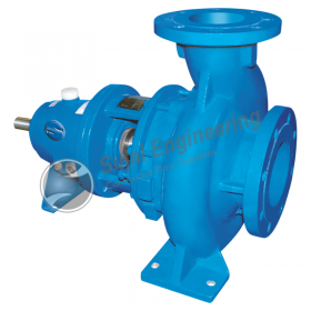 Centrifugal Process Pumps Manufacturer & Supplier 