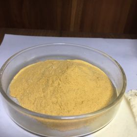 Amphotericin B - API Manufacturer In India