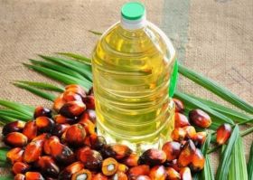 Crude Palm Oil