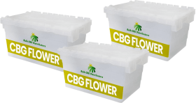 CBG Flower