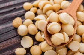 Macadamia Nuts For Sale