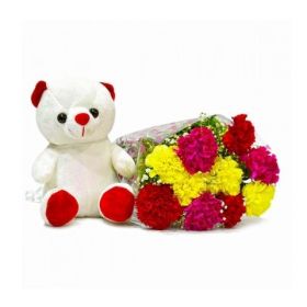 Bouquet of 10 Mix Carnations with Cute Soft Toy