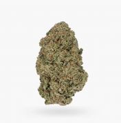 Buy Crunch Berry from Hush Cannabis Club