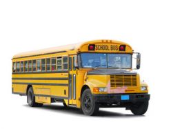 Early Learning Transport